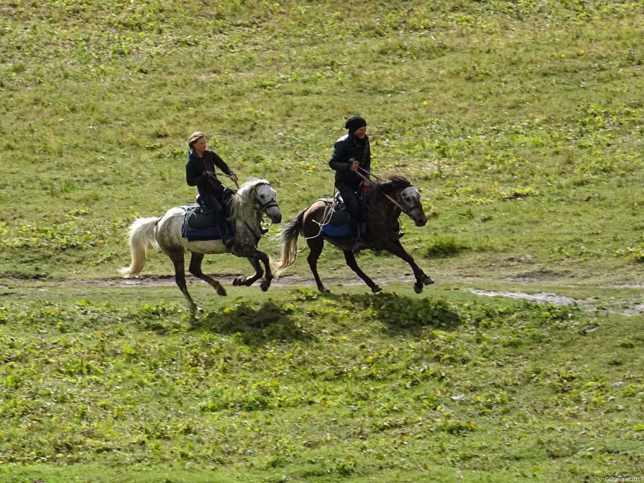 Deux cavalières au galop dans une prairie